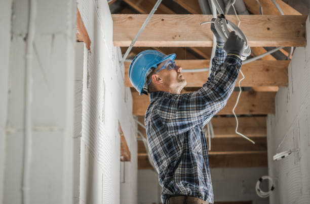 Best Electric Panel Repair  in Paia, HI